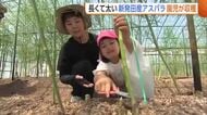 太くて長い新潟・新発田産“アスパラ”　園児が自分のハサミで収穫！「チャーハンにして食べたい」