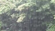 「レベル3大雨警報」が石川県に発表　宝達志水町で7月観測史上最大の豪雨、夕方まで警戒を