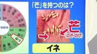 【天気／山形】芒（のぎ）を持つのはイネ＆週末の詳しい天気　中村友祐気象予報士の天気予報(2)