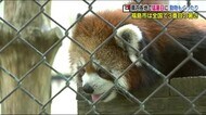 連日の酷暑に動物たちも…20日は福島市で37℃・二本松市で今年最高の36.7℃ この暑さしばらく続く