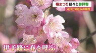 椿まつり3日目 4月上旬並みの陽気に【愛媛】