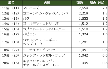 最新版!『人気犬種ランキング2021』