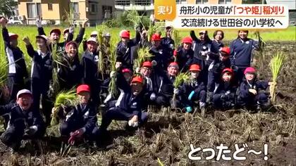舟形小の児童が「つや姫」稲刈り　交流続ける世田谷の小学校へ　山形・舟形町