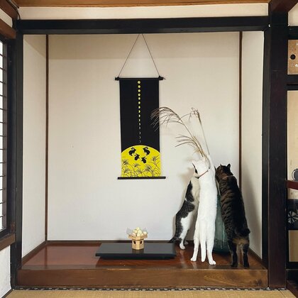 風流なお月見が“大混乱”に？床の間のススキと団子のお供えに猫が夢中…いつもの光景なのか飼い主に聞いた