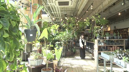 植物たちとのトキメク時間…都会に広がる緑のオアシス「オシャレな園芸店」人々を夢中にさせる緑の魅力とは【愛知発】
