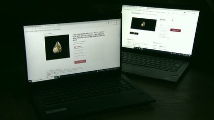 ふるさと納税の「偽サイト」に注意…割引”や値引き”うたうサイトは「詐欺」【石川発】