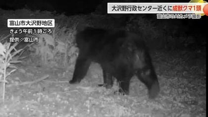 富山市大沢野地区や砺波市で出没のクマをAIカメラが撮影 「猛獣の巣というか…」住民から不安と警戒の声