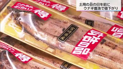 「国産うなぎがお買い得」シラスウナギ豊漁で価格ダウン！コメ価格も落ち着き、土用の丑に向けて準備万端