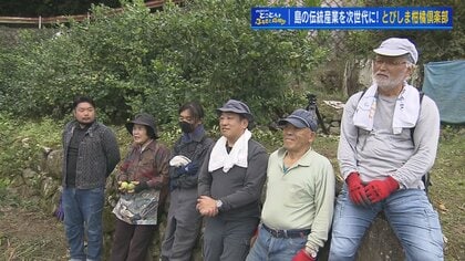 愛とレモンで島おこし」瀬戸内の段々畑 高齢柑橘農家をボランティアが支える