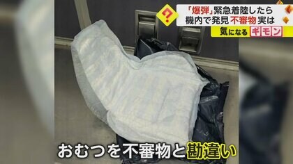 不審物の正体は“大人用おむつ”　旅客機が“爆弾テロ”の疑いで緊急着陸…国家警察「脅威は取り除かれた」　パナマ