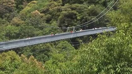 5月4日はみどりの日　綾町の照葉樹林　照葉大吊橋は大勢の行楽客でにぎわう