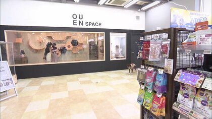 ペットショップが譲渡会場に　保護ネコも広々空間でリラックス…展示販売をやめて毎日開催「出会いの場に」【高知発】