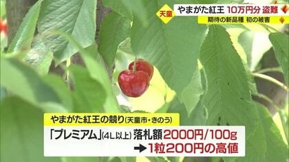 ☆限定NEW小粒☆たっぷり山盛り♡【300g昔ながらの『とんぼ玉』さざれ