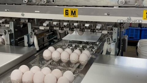 過去最高値「卵1パック309円」エッグショック再来か　特大卵サンド店「絶対に減らさない」　イラン情勢悪化で資材高騰…Wパンチも