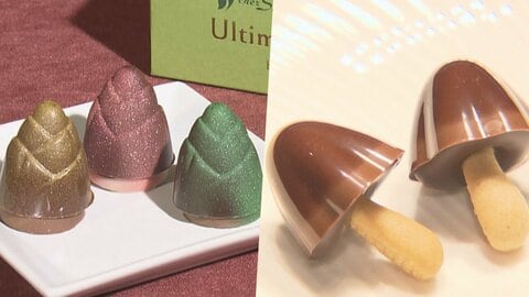 “きのこの山”と“たけのこの里”を有名シェフが本気でつくったらこうなった アムール・デュ・ショコラで夢のコラボ