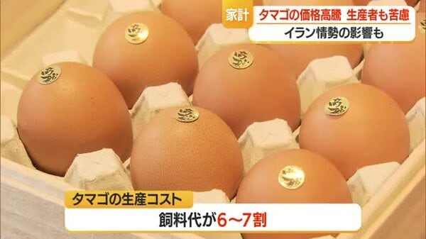 タマゴの価格高騰・2023年のエッグショック超え過去最高値…今後の