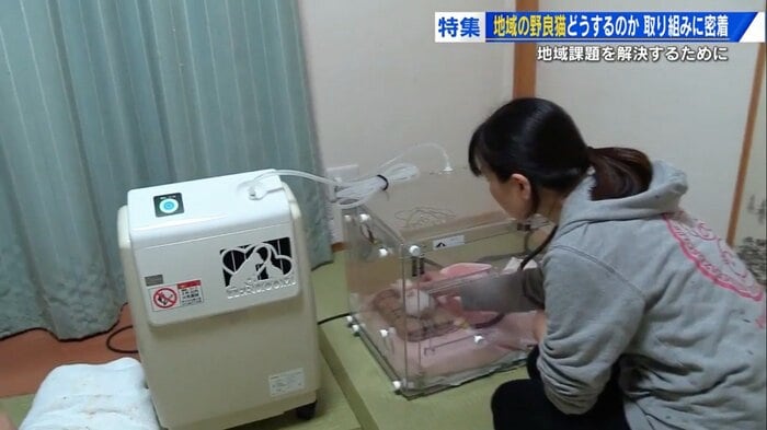 酸素ケースのレンタル費(月約8万円)も自己負担