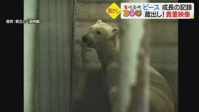 ピースの母親の「バリーバ」