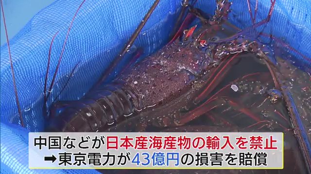 消費者の応援もあり影響は少ないが…