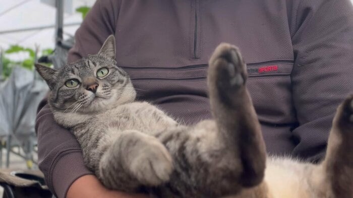 どこか誇らしげ