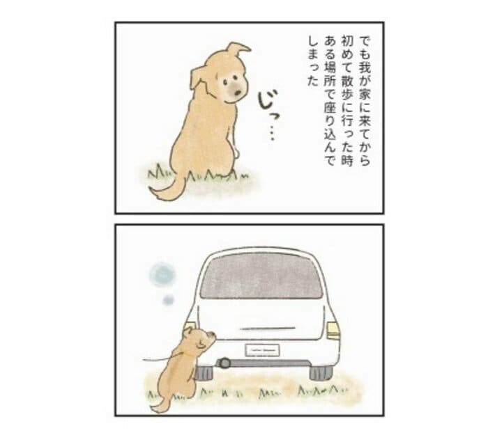 『たまさんちのホゴイヌ2』(世界文化社)より