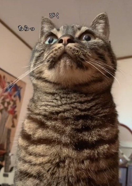 この日は控えめな鼻息が…