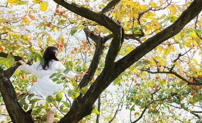 「柿の木にのぼる」には自分を愛してという気持ちが込められている