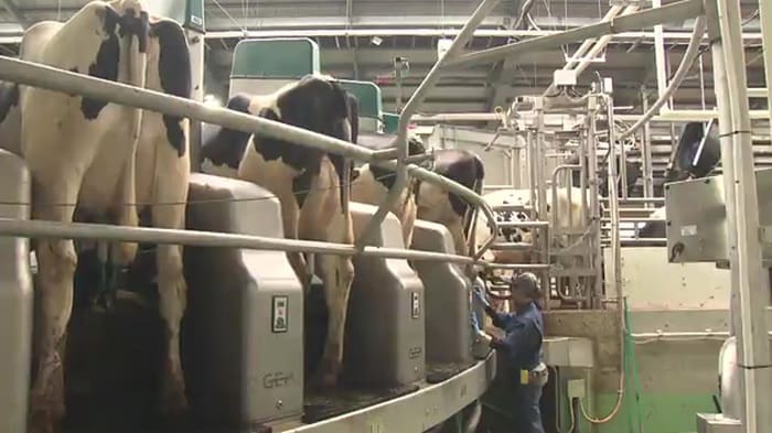 畜産業再開が浪江町復興の道しるべに