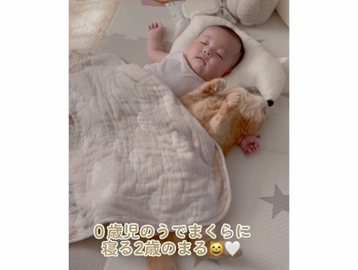 気持ちよさそうに眠っている(提供:ひなまる色さん)