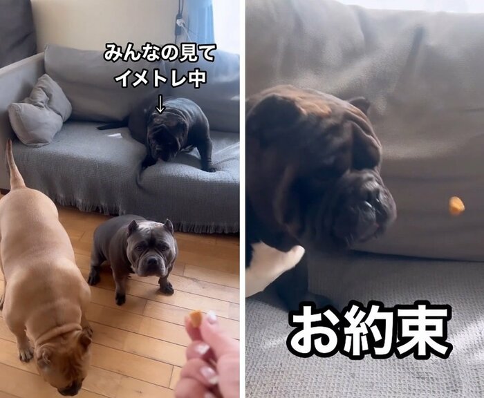 2022年9月のアトムくん。お鼻に当てちゃう“お約束”で失敗…