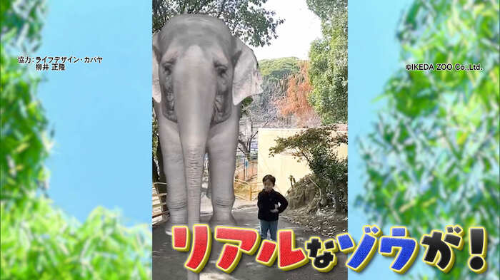 画像:©IKEDAZOO co.,Ltd. 協力:ライフデザイン・カバヤ/柳井正隆