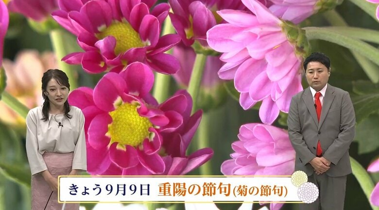 重陽の節句は「特に縁起の良い日」　なにをする？「菊酒」「秋の味覚」「後の雛」　気象予報士が解説｜FNNプライムオンライン