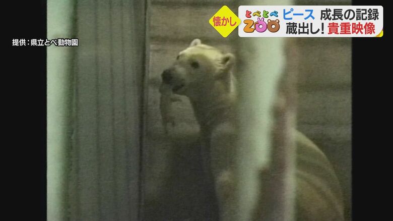 ピースの母親の「バリーバ」