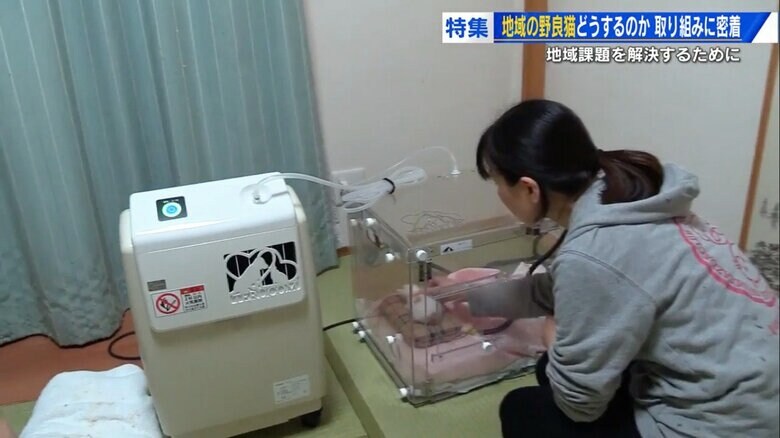 酸素ケースのレンタル費（月約8万円）も自己負担