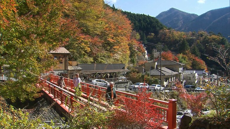 紅葉シーズンの梅ヶ島温泉街