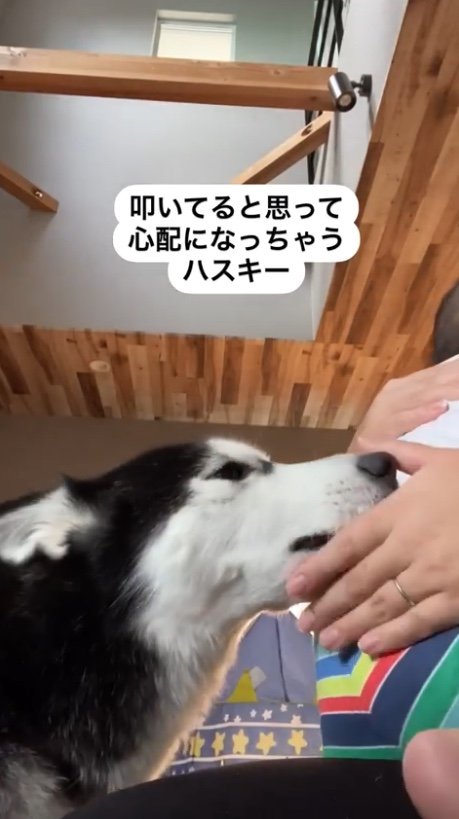 提供：akariさん