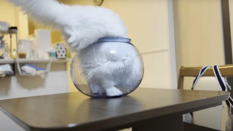 頭を入れて…
