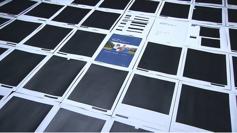 公開された文書の大半は黒塗りだった