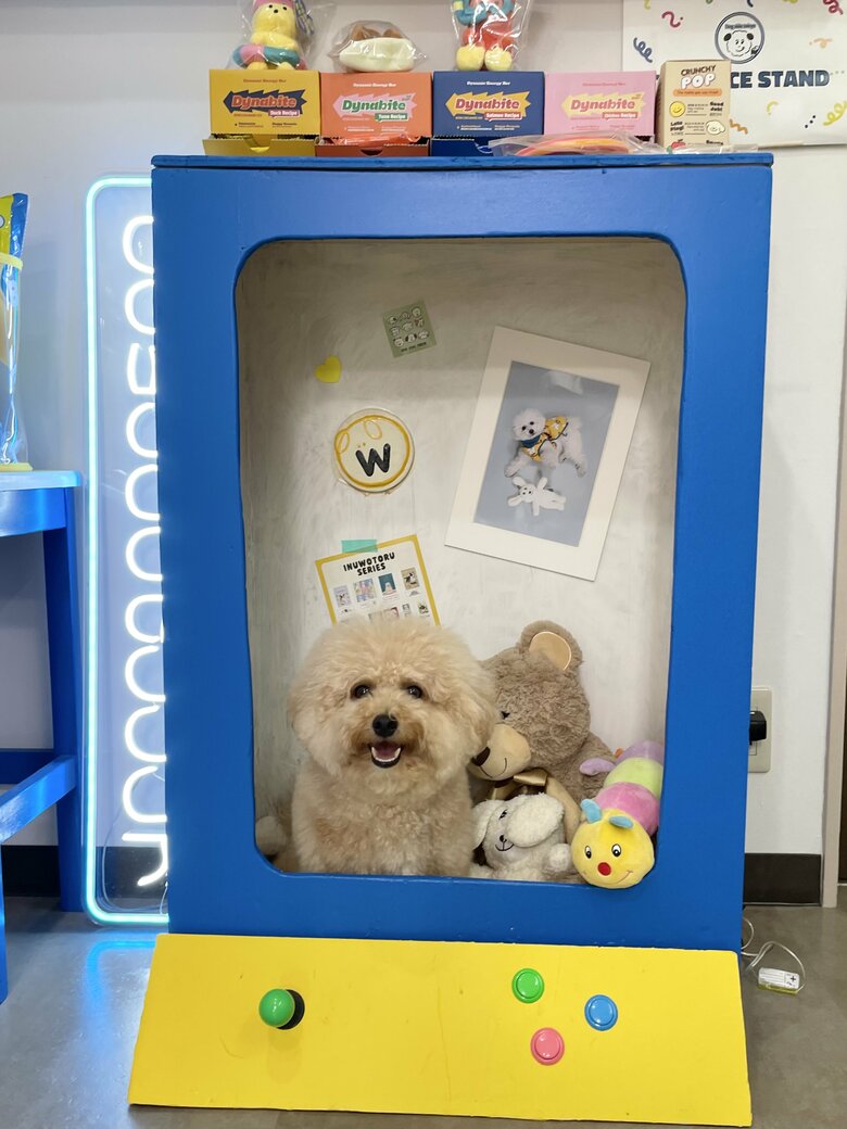 ぬいぐるみに混ざって