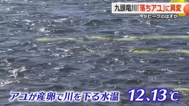 水温が5度ほど高いまま