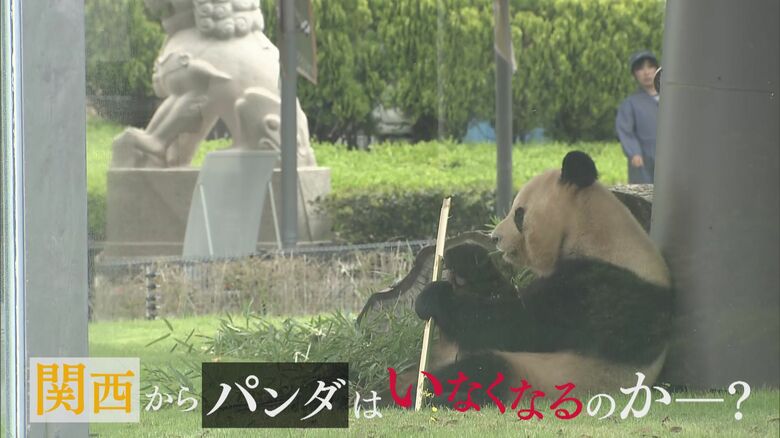 関西からパンダがいなくなる…？