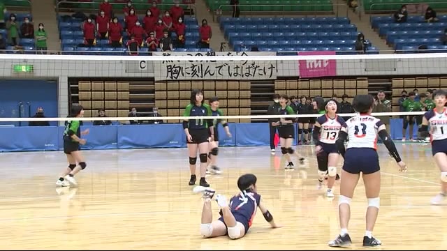春の高校バレー県大会 開幕 3年生 最後の大会<岩手県>