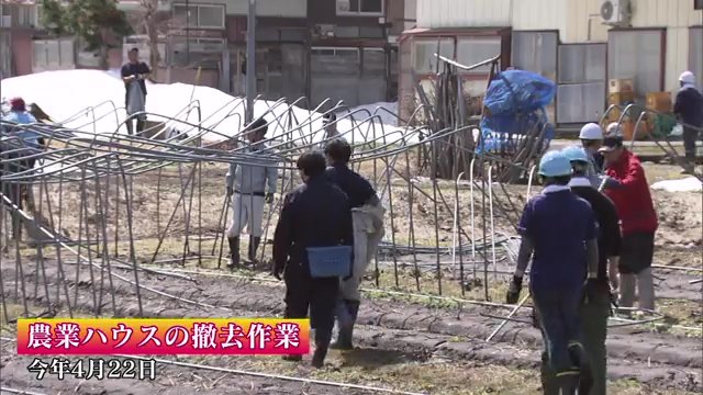 総出の倒壊した農業用ハウスの撤去作業（2025年4月22日撮影）