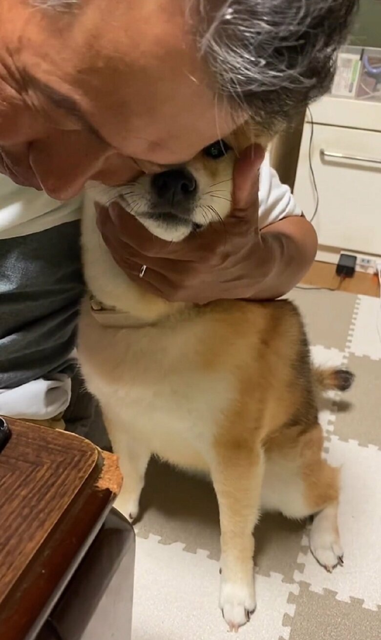 むぎちゃんを抱きしめるお父さん