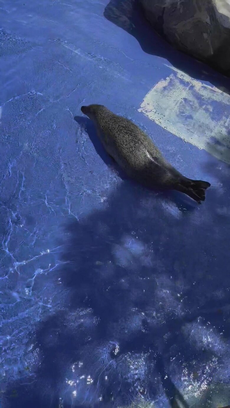 （提供：名古屋市東山動植物園）