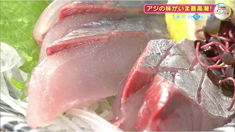 アジの刺身