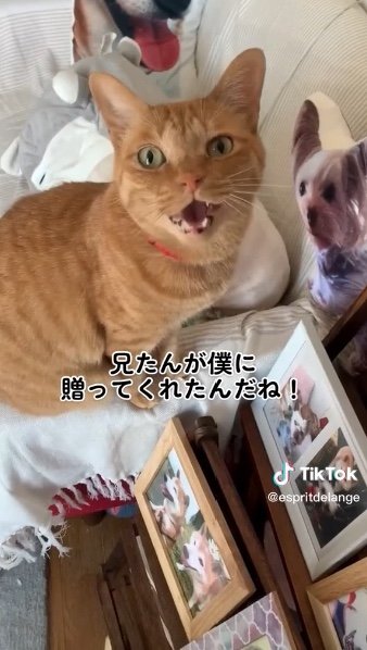 提供：エンとちぃさん
