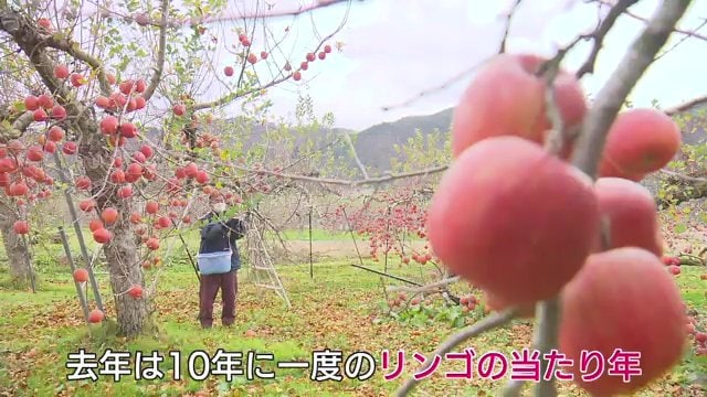 10年に一度当たり年