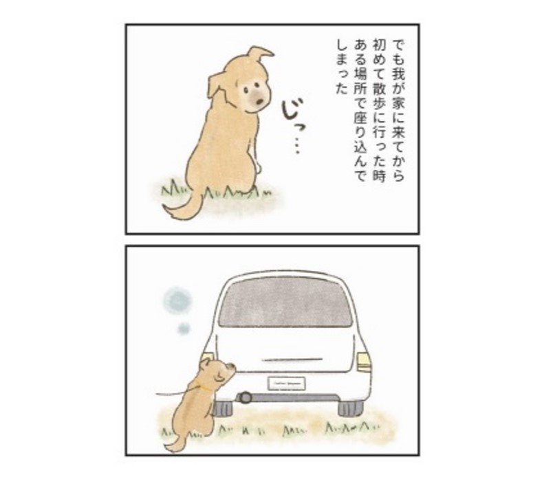 『たまさんちのホゴイヌ2』（世界文化社）より