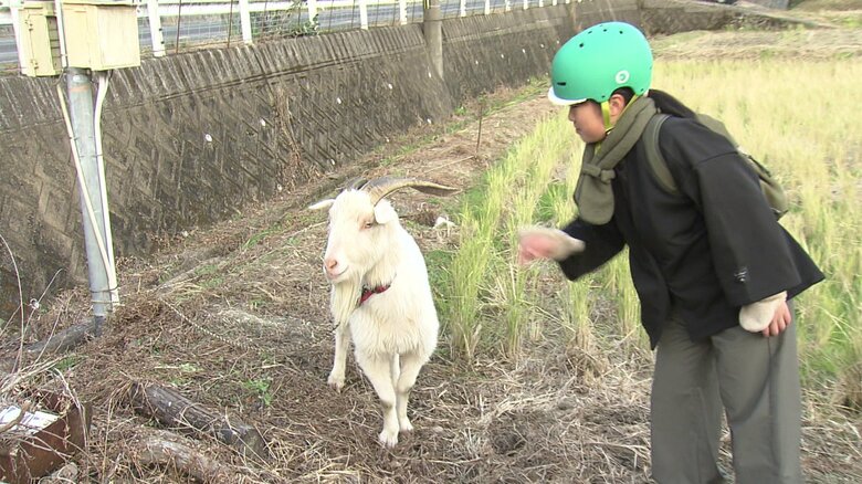 海さんの自宅から自転車で10分ほどの畑にいるヤギに会いに来た海さん
